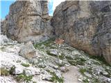 Lech da Sompunt - Rifugio Puez / Puez Hütte